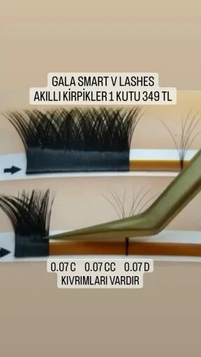 V LASH KIVRIM K. DEMET