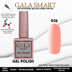 Gala smart classic kalıcı oje 10 mle no:036