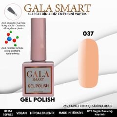 Gala smart classic kalıcı oje 10 mle no:037