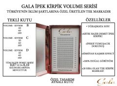6 D HAZIR DEMET 0.10 C MİX