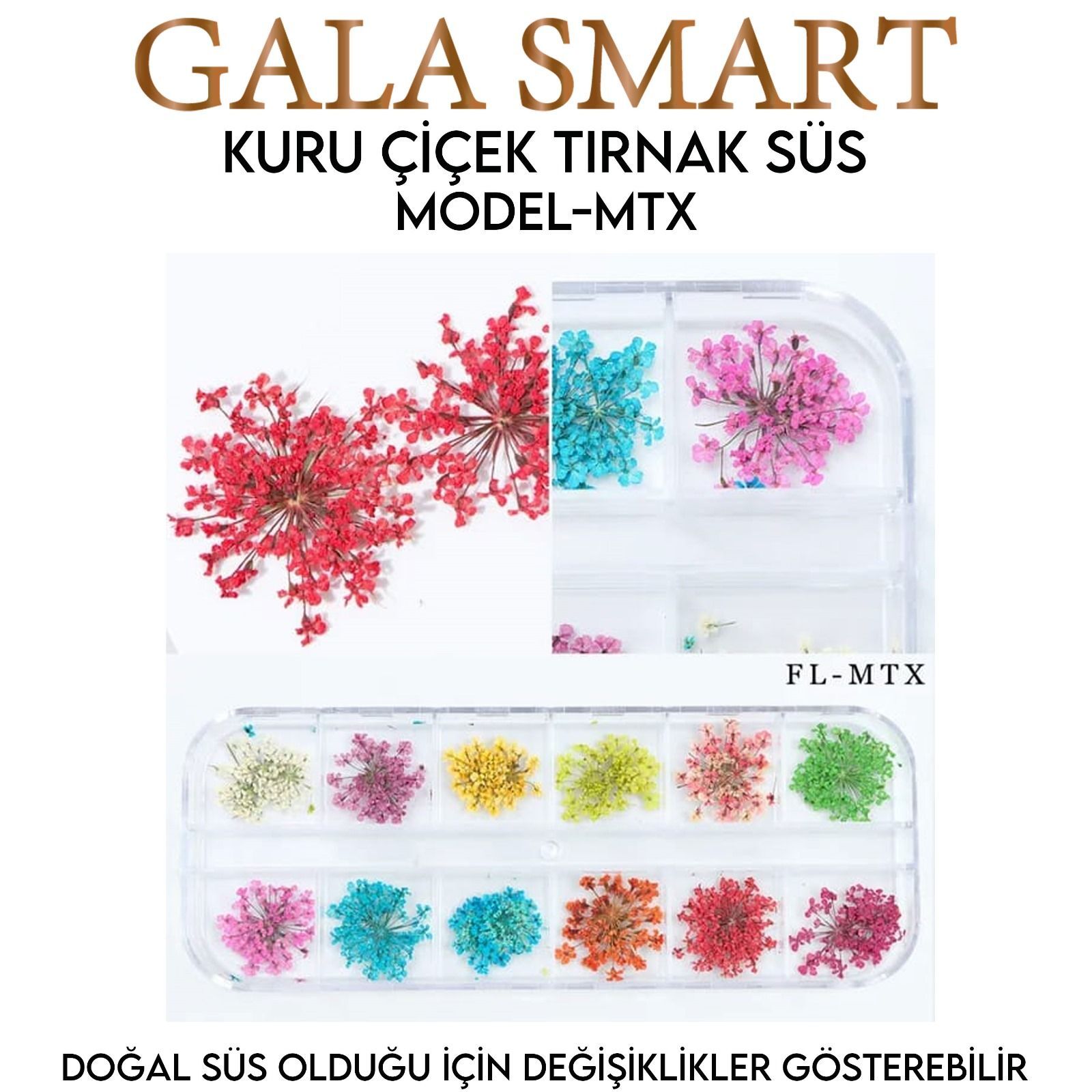 Kuru çiçek tırnak süs - model:mtx