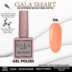 Gala smart classic kalıcı oje 10 mle no:114