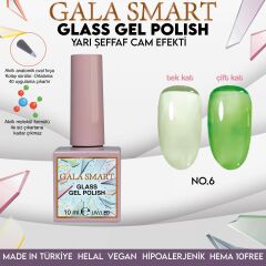 Gala smart glass kalıcı oje 10 mle no:06
