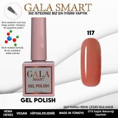 Gala smart classic kalıcı oje 10 mle no:117