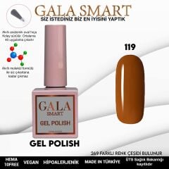 Gala smart classic kalıcı oje 10 mle no:119
