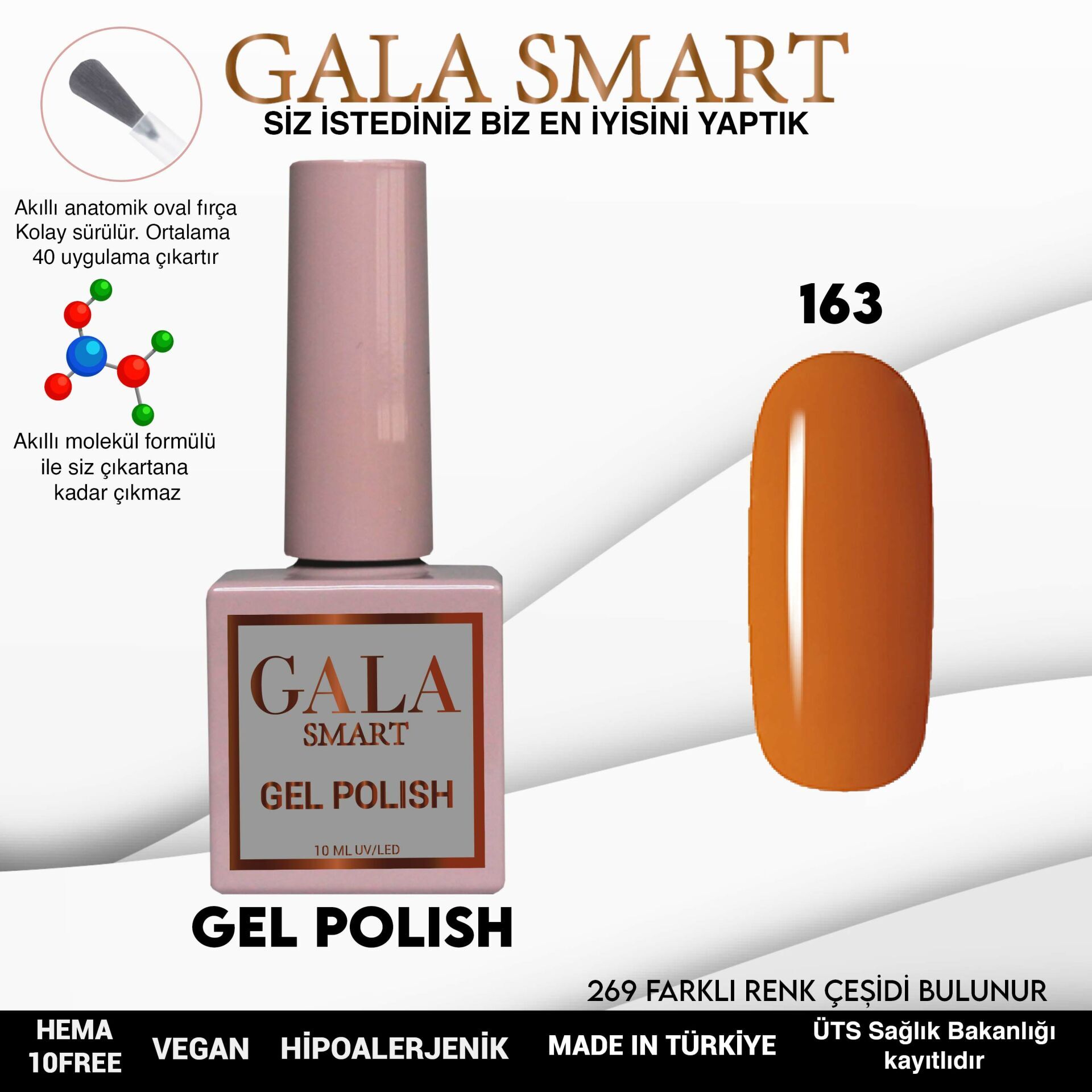 Gala smart classic kalıcı oje 10 mle no:163