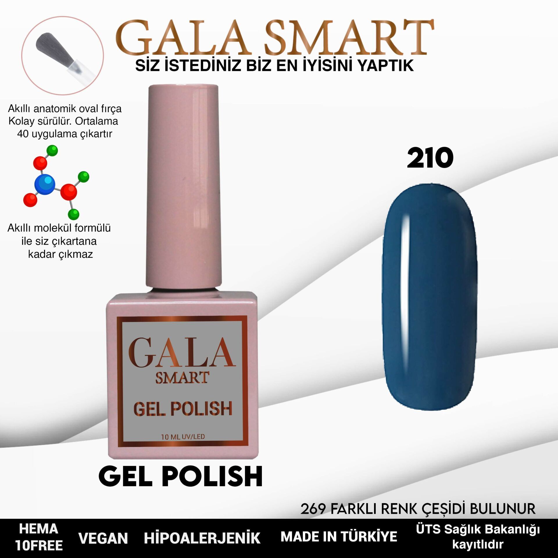 Gala smart classic kalıcı oje 10 mle no:210
