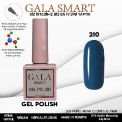 Gala smart classic kalıcı oje 10 mle no:210