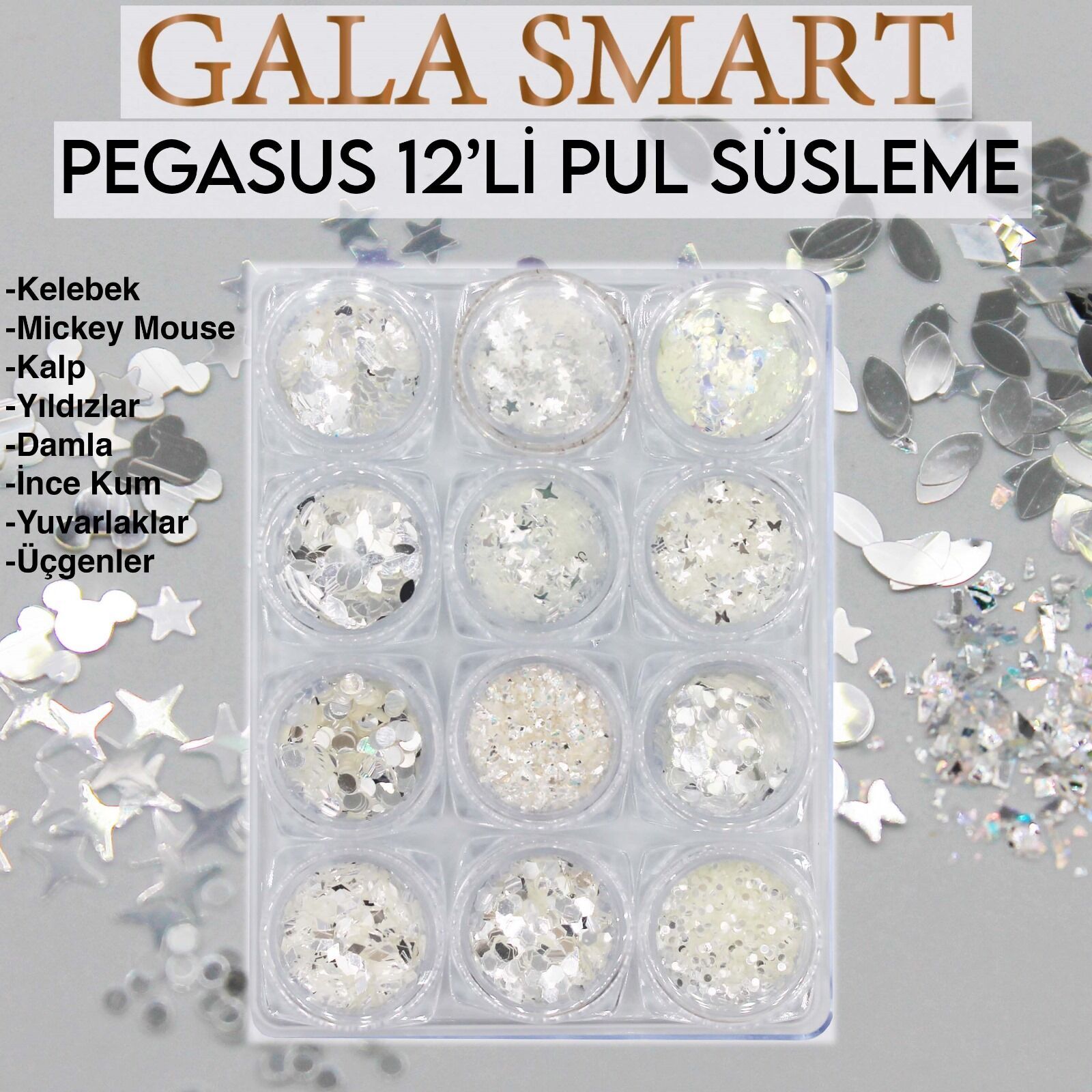 Pegasus model 12 li pul set süsleme