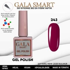 Gala smart classic kalıcı oje 10 mle no:243