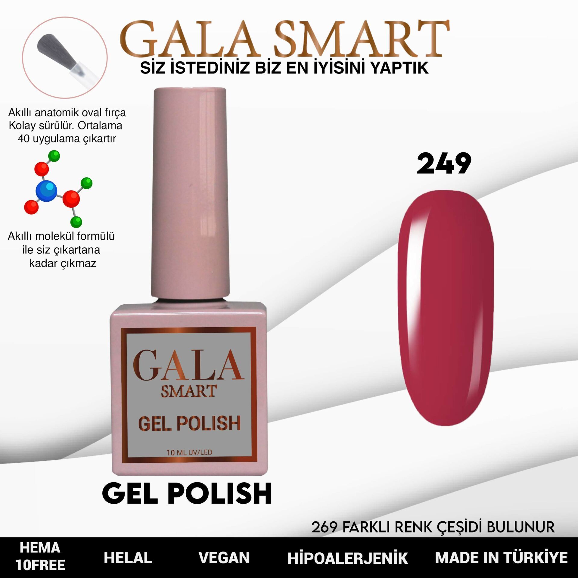 Gala smart classic kalıcı oje 10 mle no:249