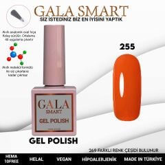 Gala smart classic kalıcı oje 10 mle no:255
